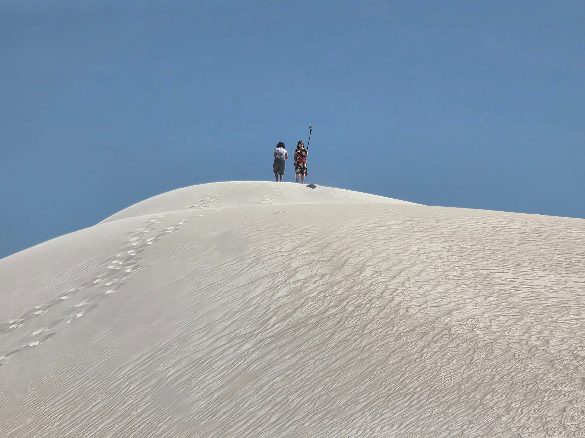 Pinnacles Tour/Lancelin Sand Dunes Sand Boarding