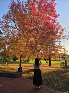 Flexible Tour / Autumn leaves