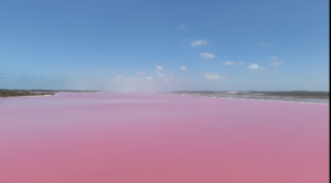 2-Day Pink Lake & Kalbarri Tour from Perth | Nature’s Window & Skywalk